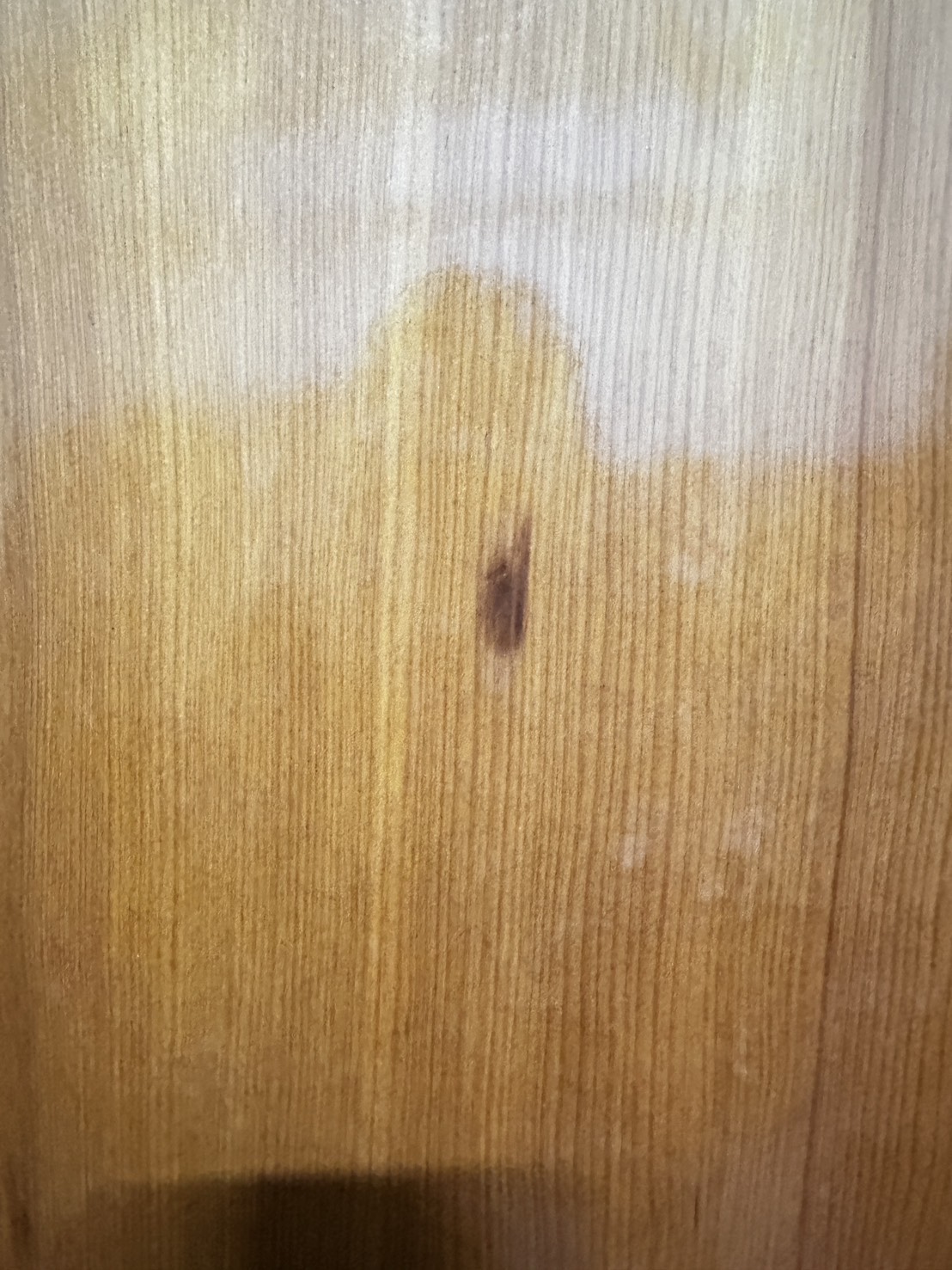 台灣肖楠 木中之王 方板