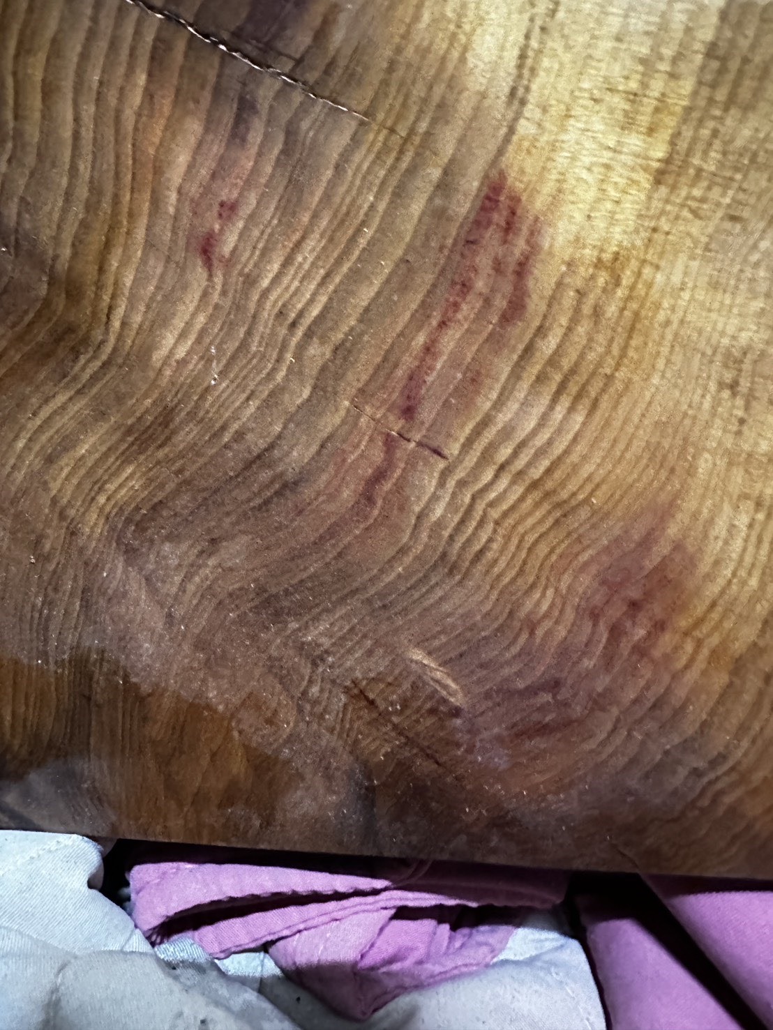 台灣肖楠 木中之王 方板