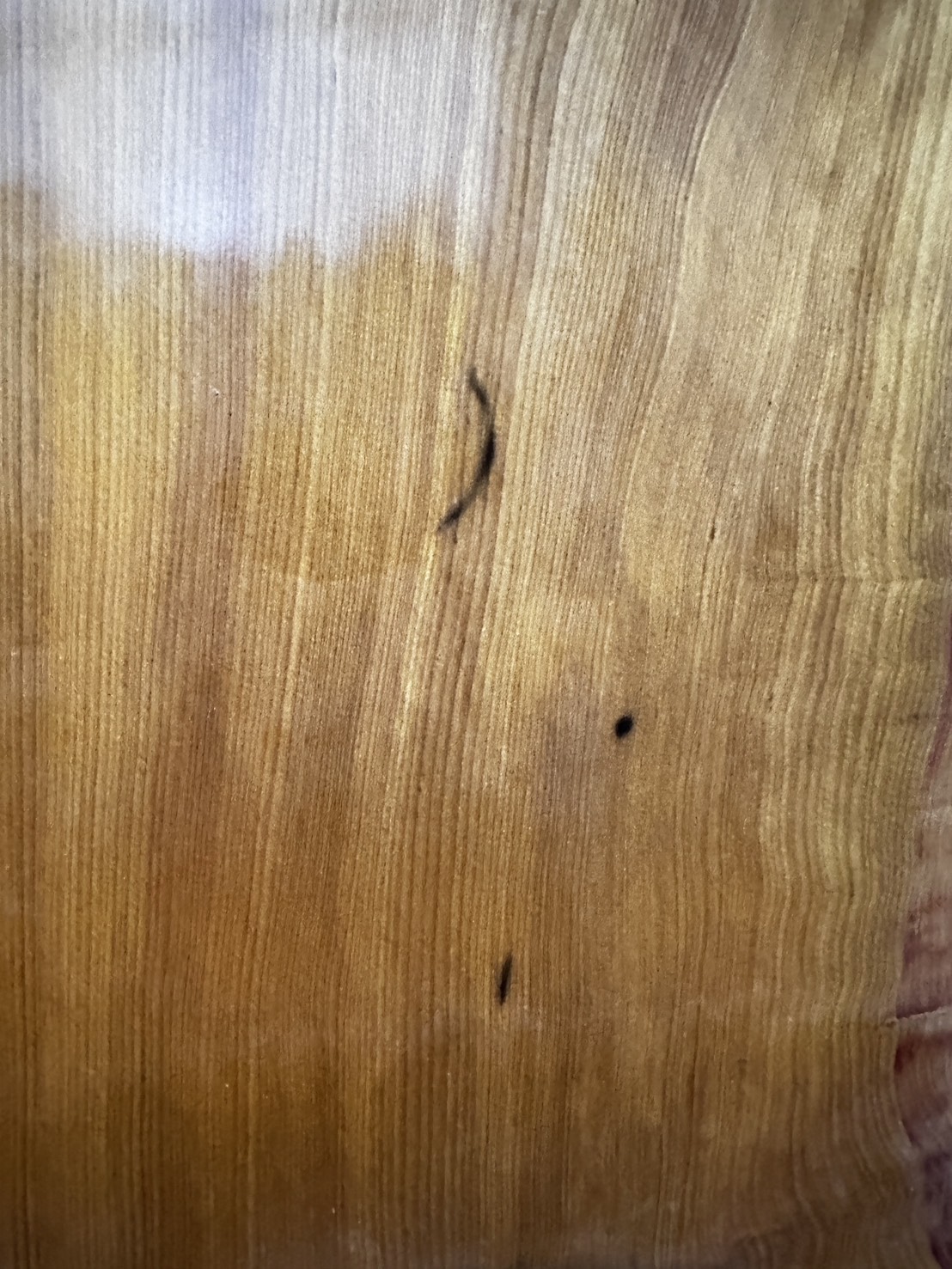 台灣肖楠 木中之王 方板