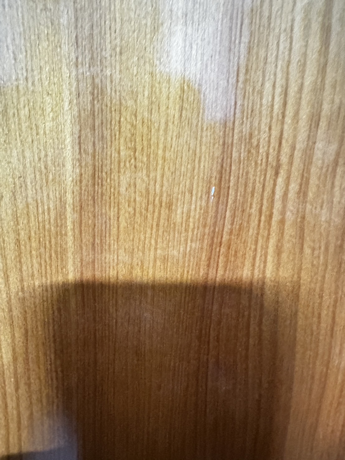 台灣肖楠 木中之王 方板