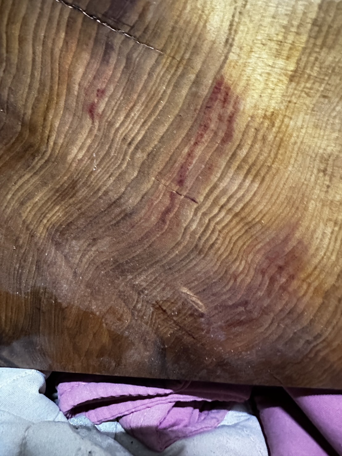 台灣肖楠 木中之王 方板