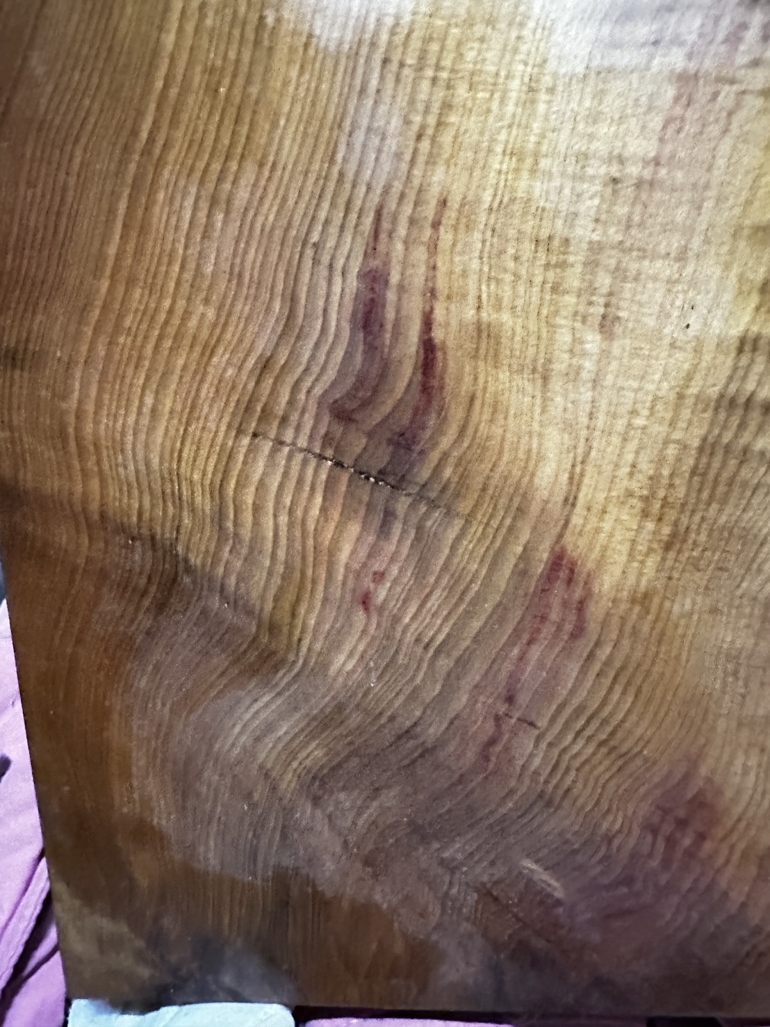 台灣肖楠 木中之王 方板