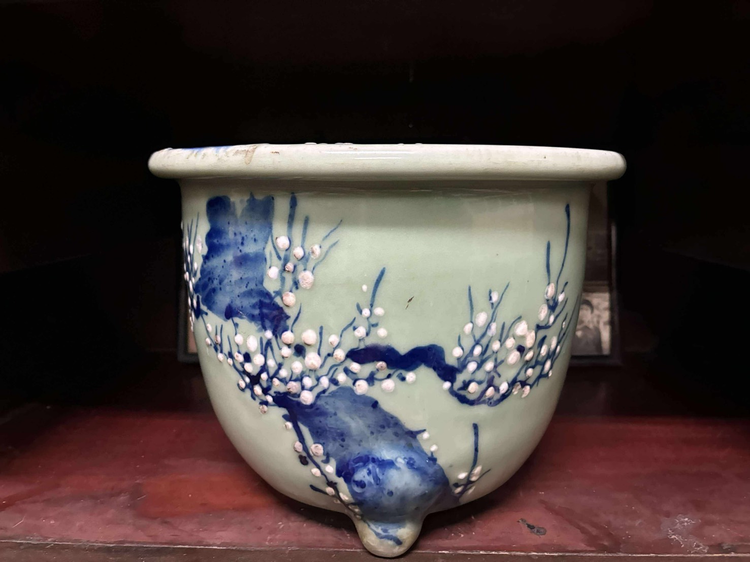 Kinuta 砧青瓷 花盆 