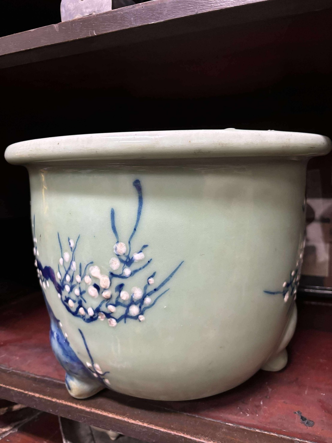 Kinuta 砧青瓷 花盆 