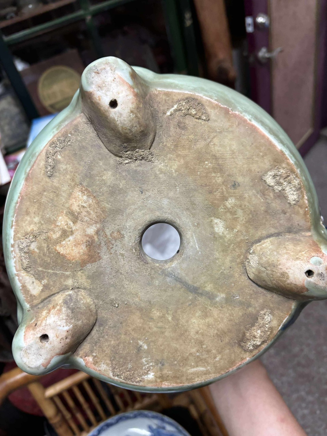 Kinuta 砧青瓷 花盆 