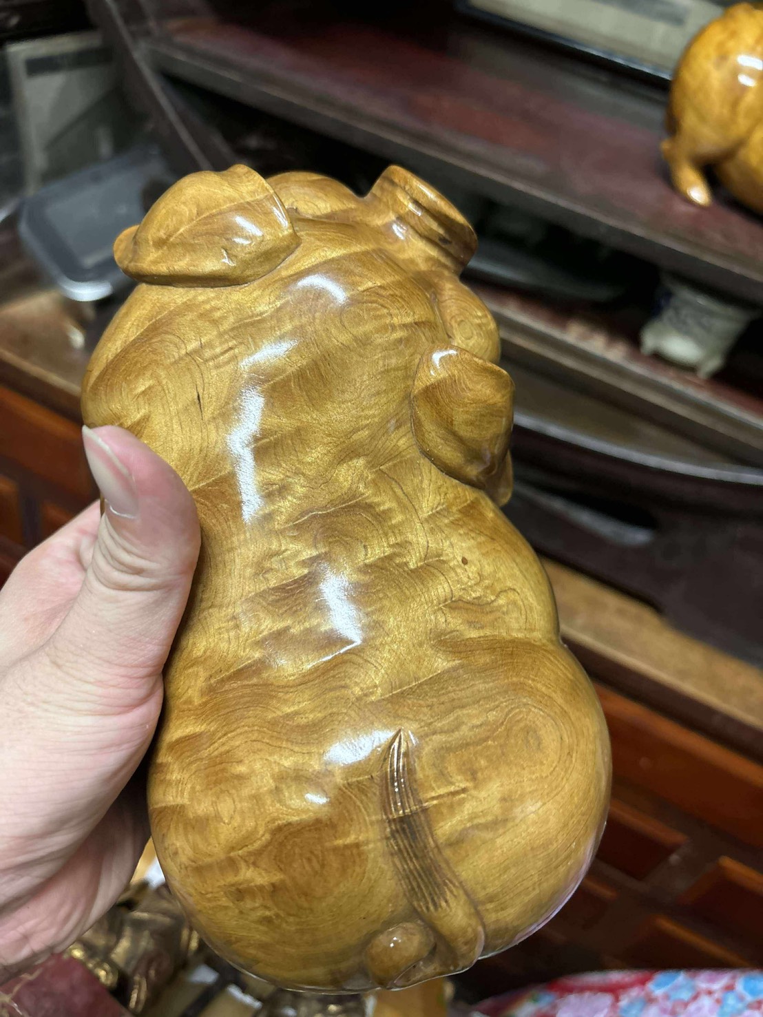 越南檜木 閃花豬 一對