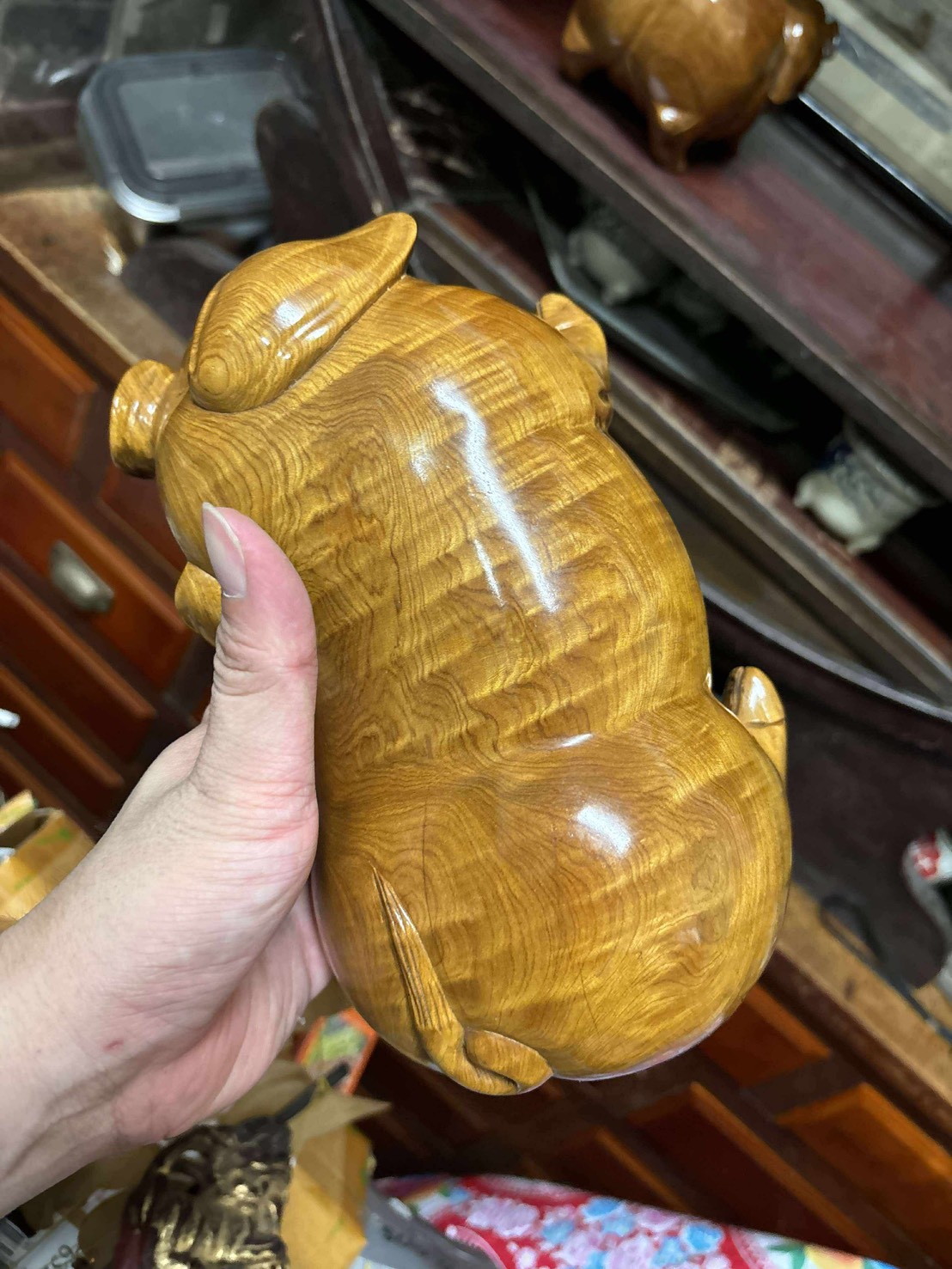 越南檜木 閃花豬 一對