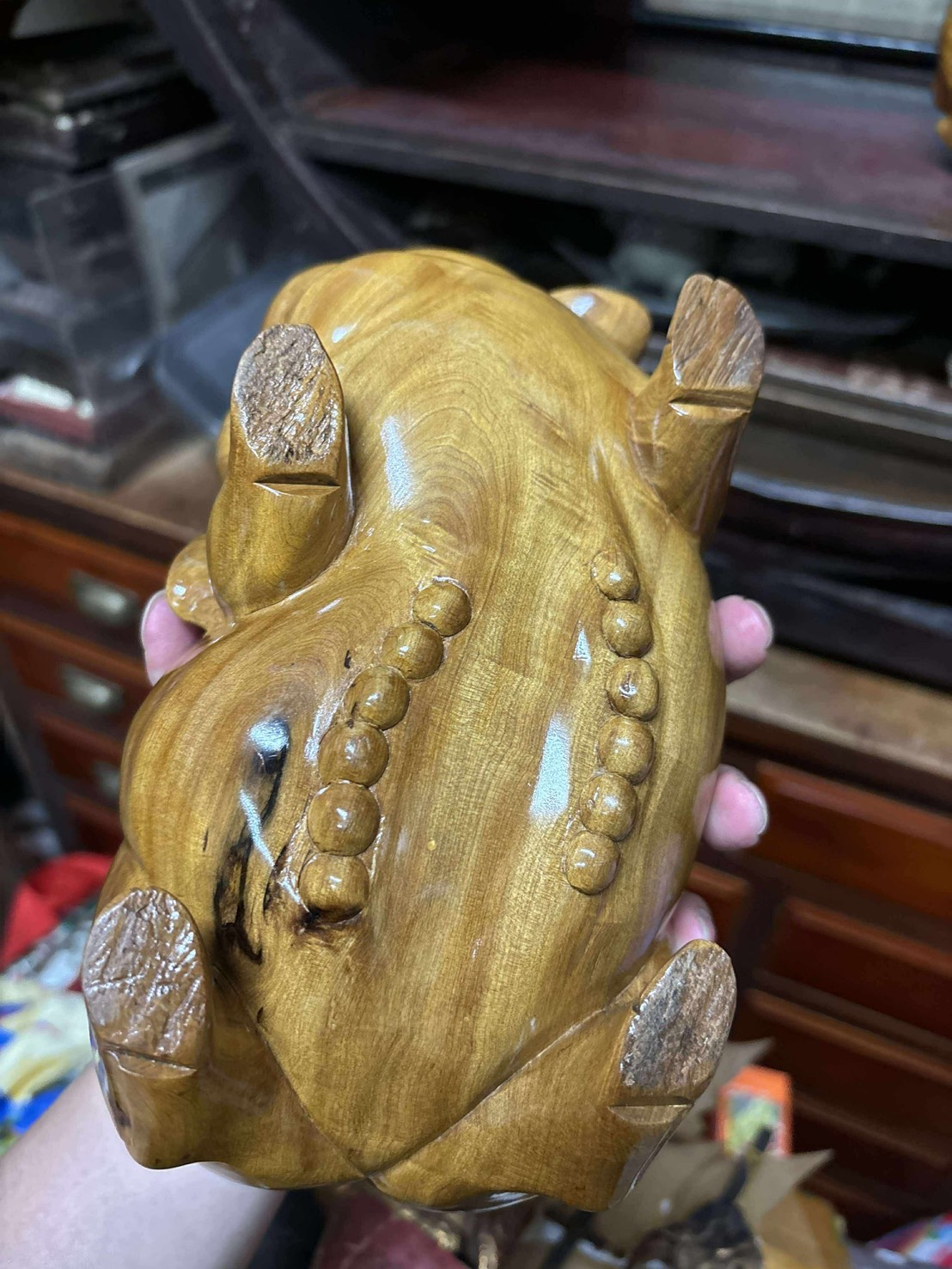 越南檜木 閃花豬 一對