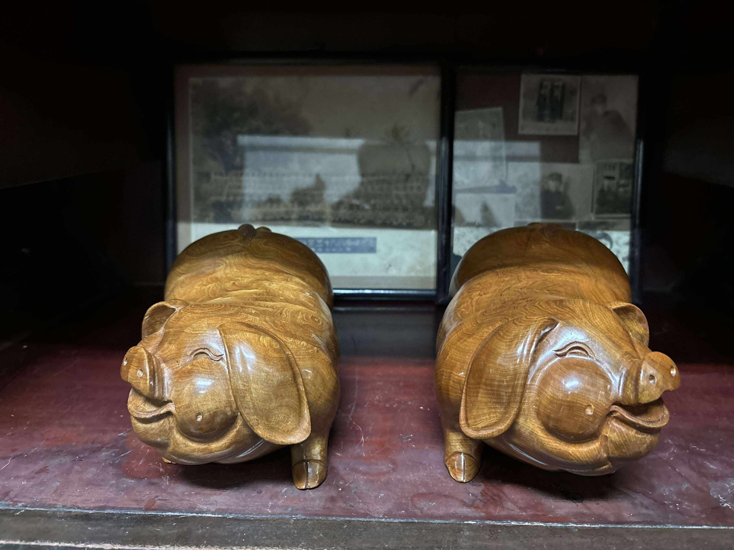 越南檜木 閃花豬 一對