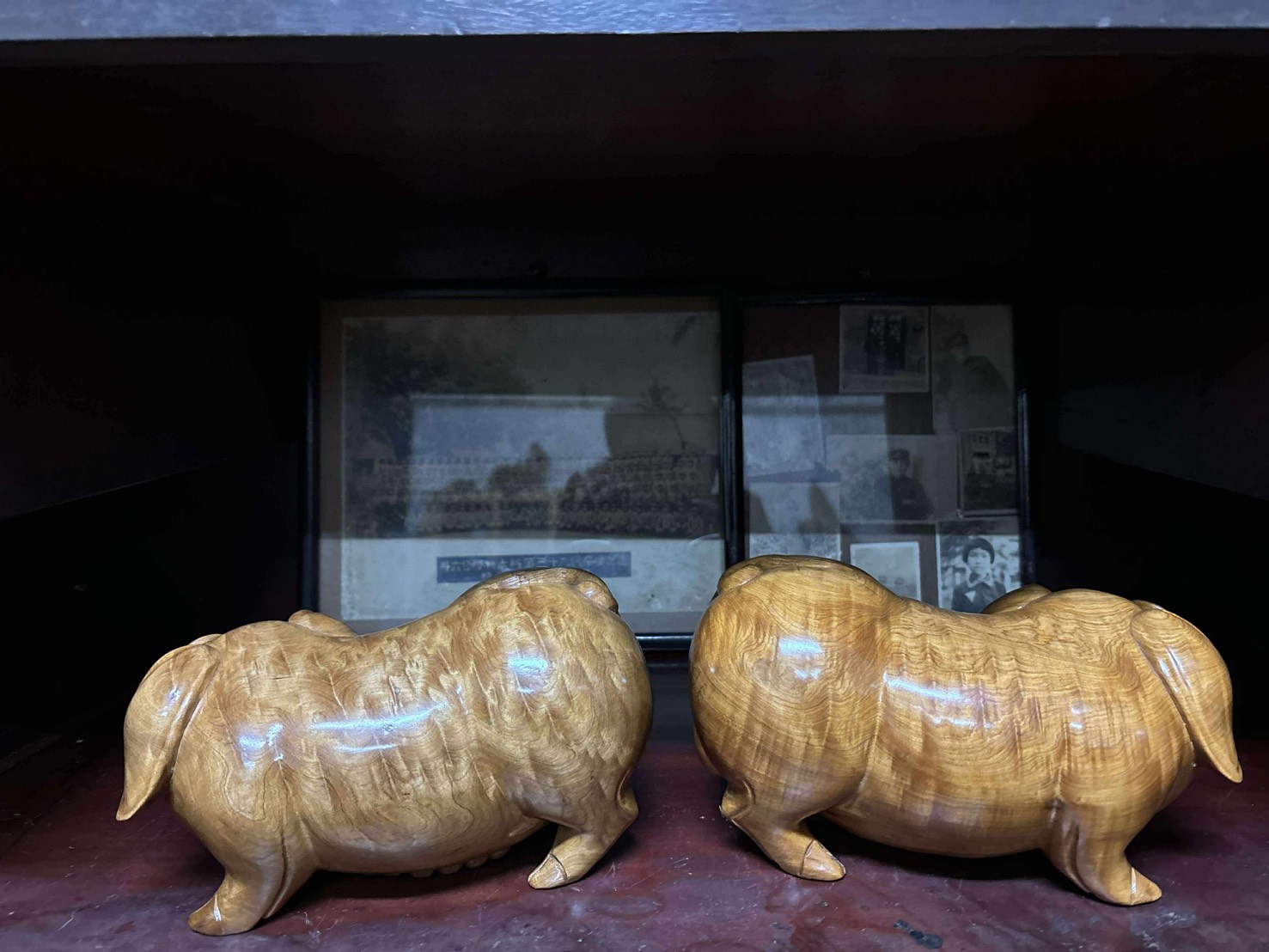 越南檜木 閃花豬 一對