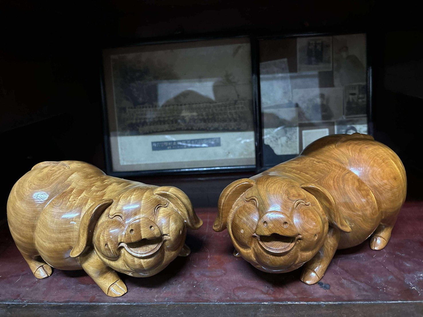 越南檜木 閃花豬 一對